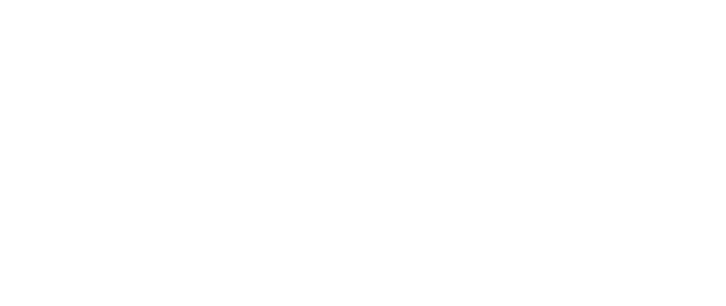 Auctus Logo
