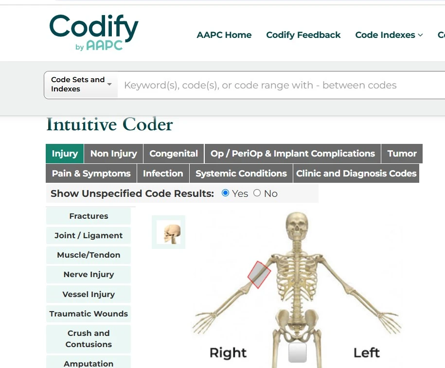 Intuitive Coder for Orthopedics
