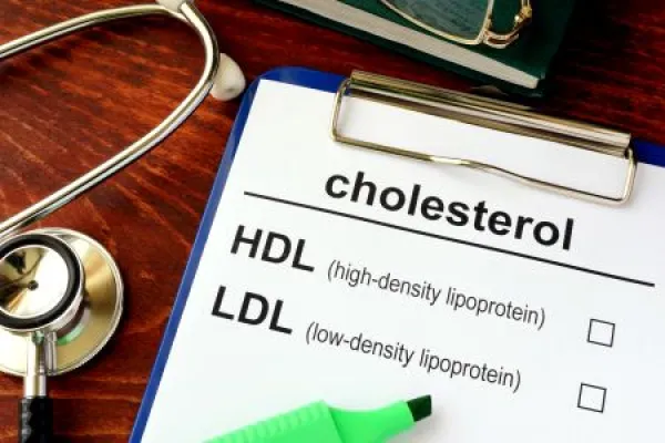 Medical form with words cholesterol HDL LDL. 