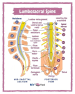 1731376227598.png 1731376227598.png