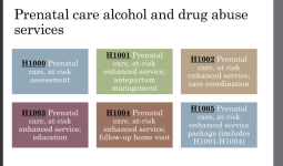 prenatal alcohol and drug abuse services.PNG
